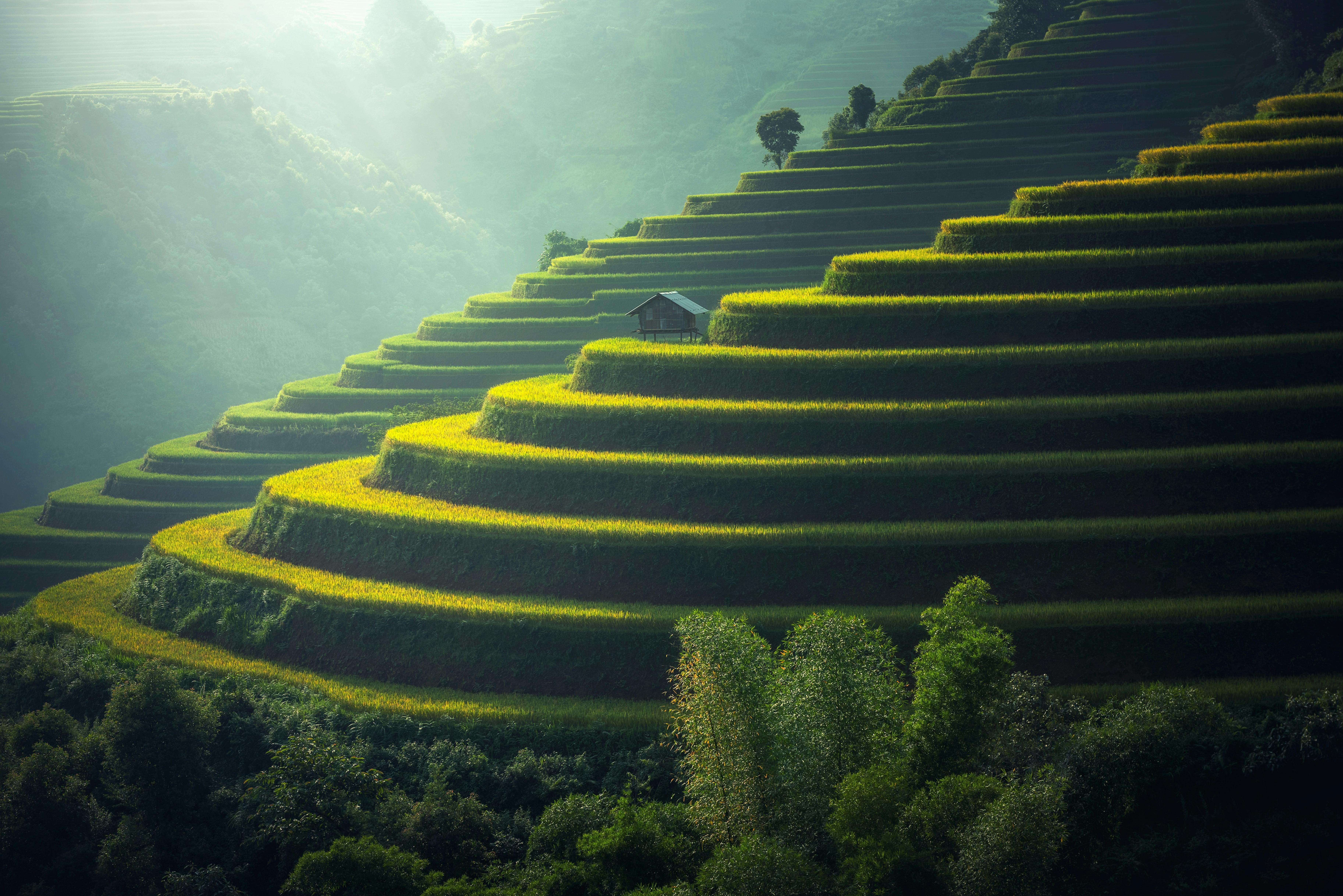 7. Gestion de l'Eau en Permaculture : Un Élément Clé pour un Sol Vivant