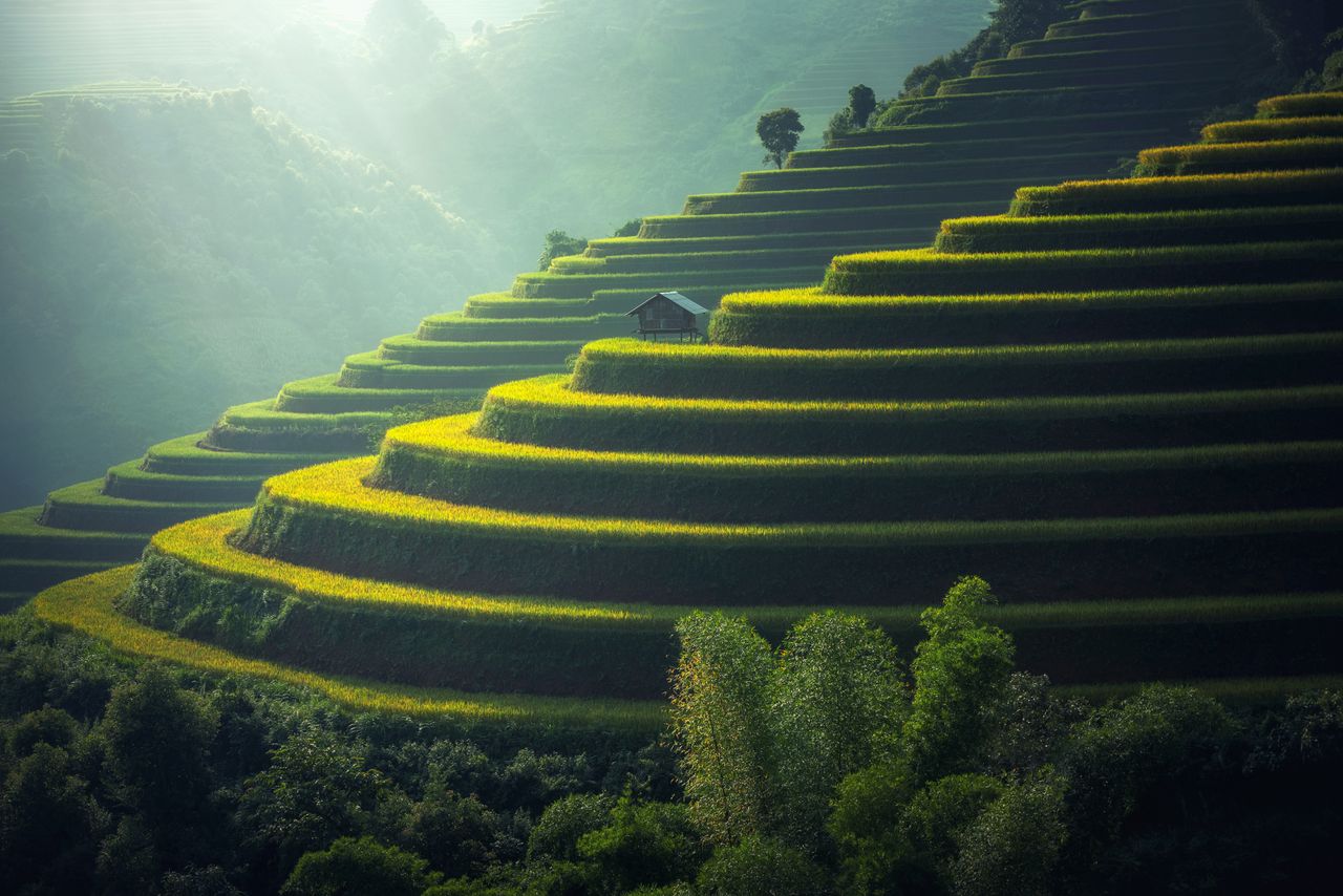 Siem Reap Green Journey — Cambodia tour package