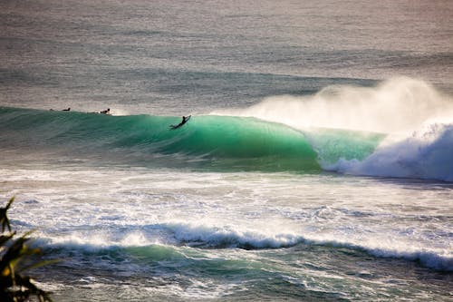 Foto Von Menschen Surfboarding