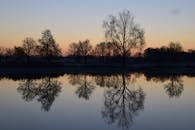 黎明时分，宁静的树木倒映在平静的湖面上，展现了大自然的静谧之美