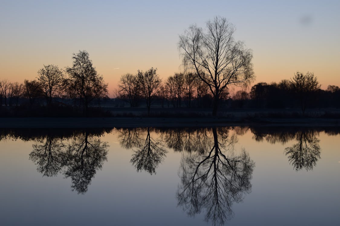 бесплатная Отражение силуэт деревьев в озере против неба на закате Стоковое фото