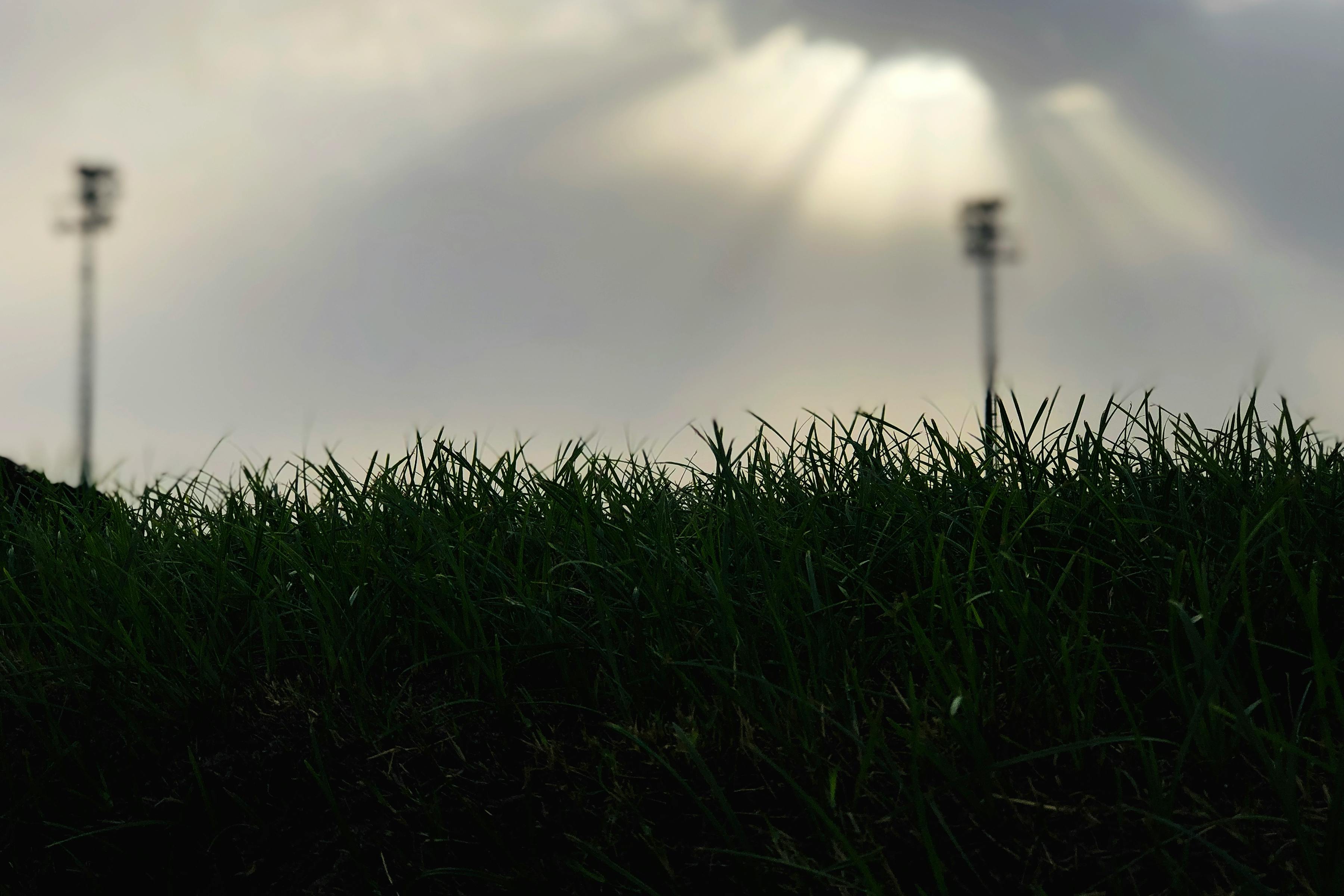 Canyon Property Maintenance in West LA: Bel Air, Benedict, Coldwater, and Laurel Canyon