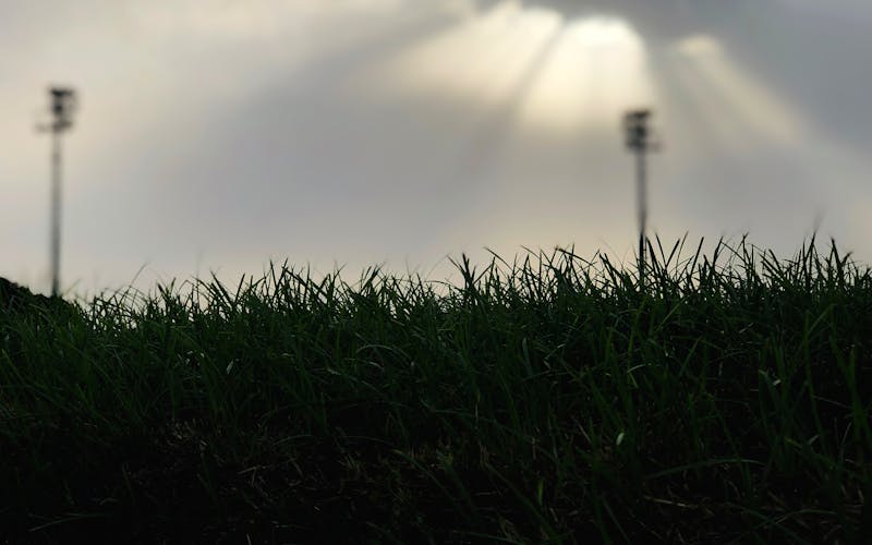 Canyon Property Maintenance in West LA: Bel Air, Benedict, Coldwater, and Laurel Canyon