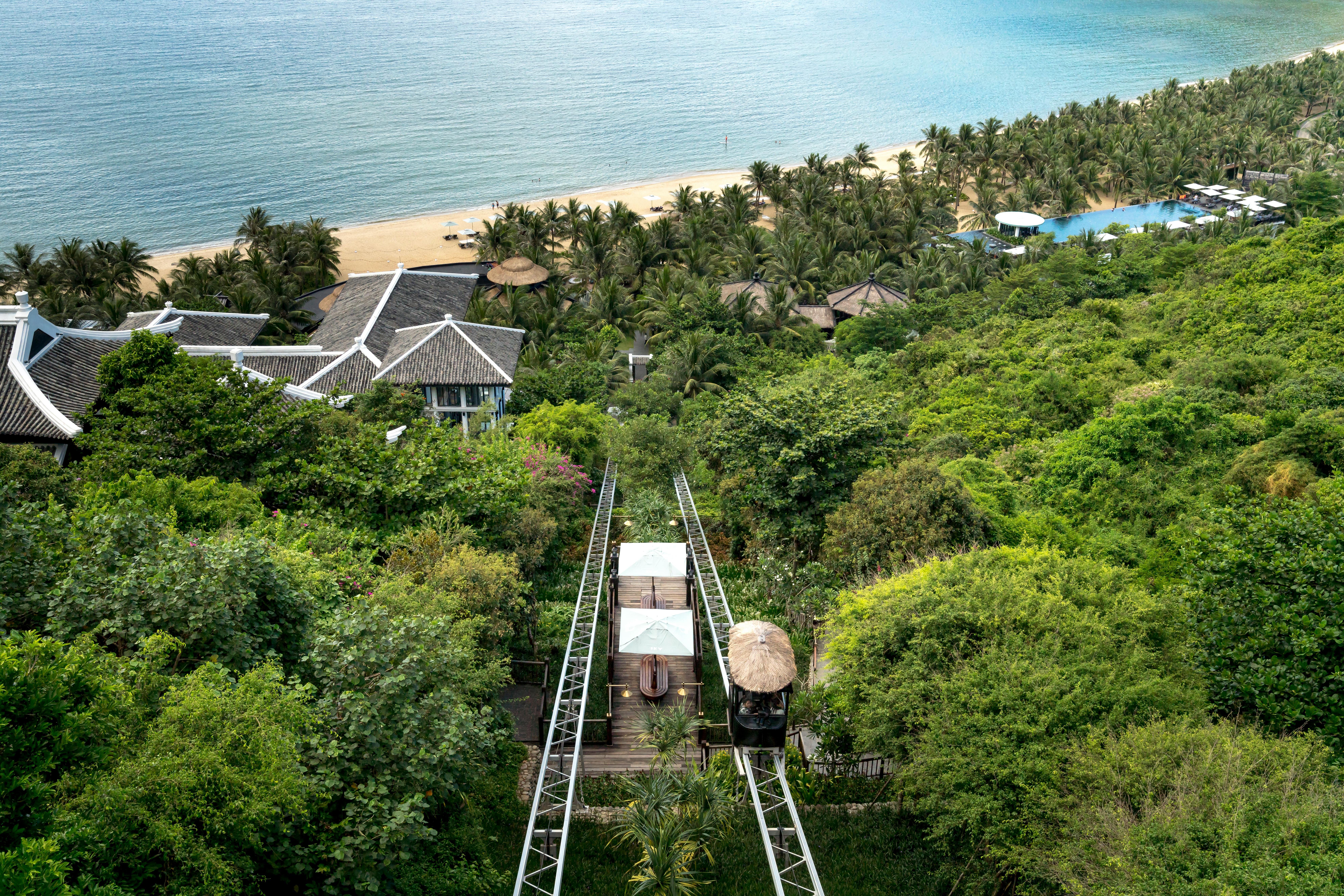 aerial view photo of trees near beach