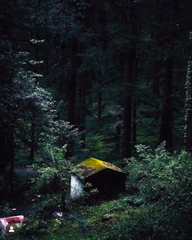 一片茂密的森林中，坐落着一间阴森的小屋，给人一种阴森的感觉