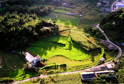 A view of a green field with a house in the background