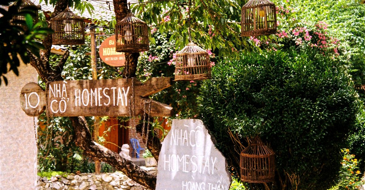 Explore a serene urban homestay surrounded by lush trees and cozy decor, perfect for relaxation.