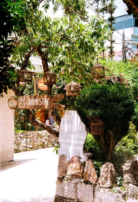 Giao diện website đặt phòng trực tuyến của Pine Hill Homestay Đà Lạt hiển thị trên thiết bị di động