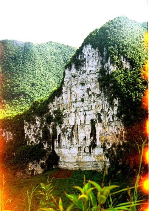 Free A striking limestone cliff covered with lush green foliage under a bright sky. Stock Photo