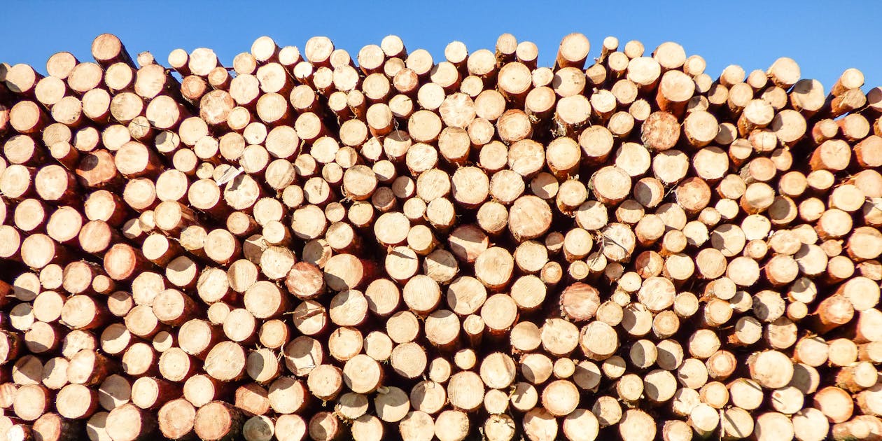 Free Stack of Firewood Stock Photo