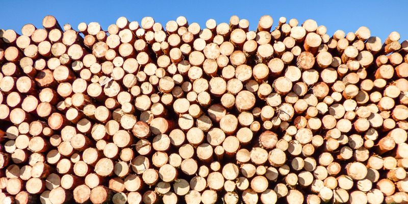 Stère de bûches de bois de chauffage empilées