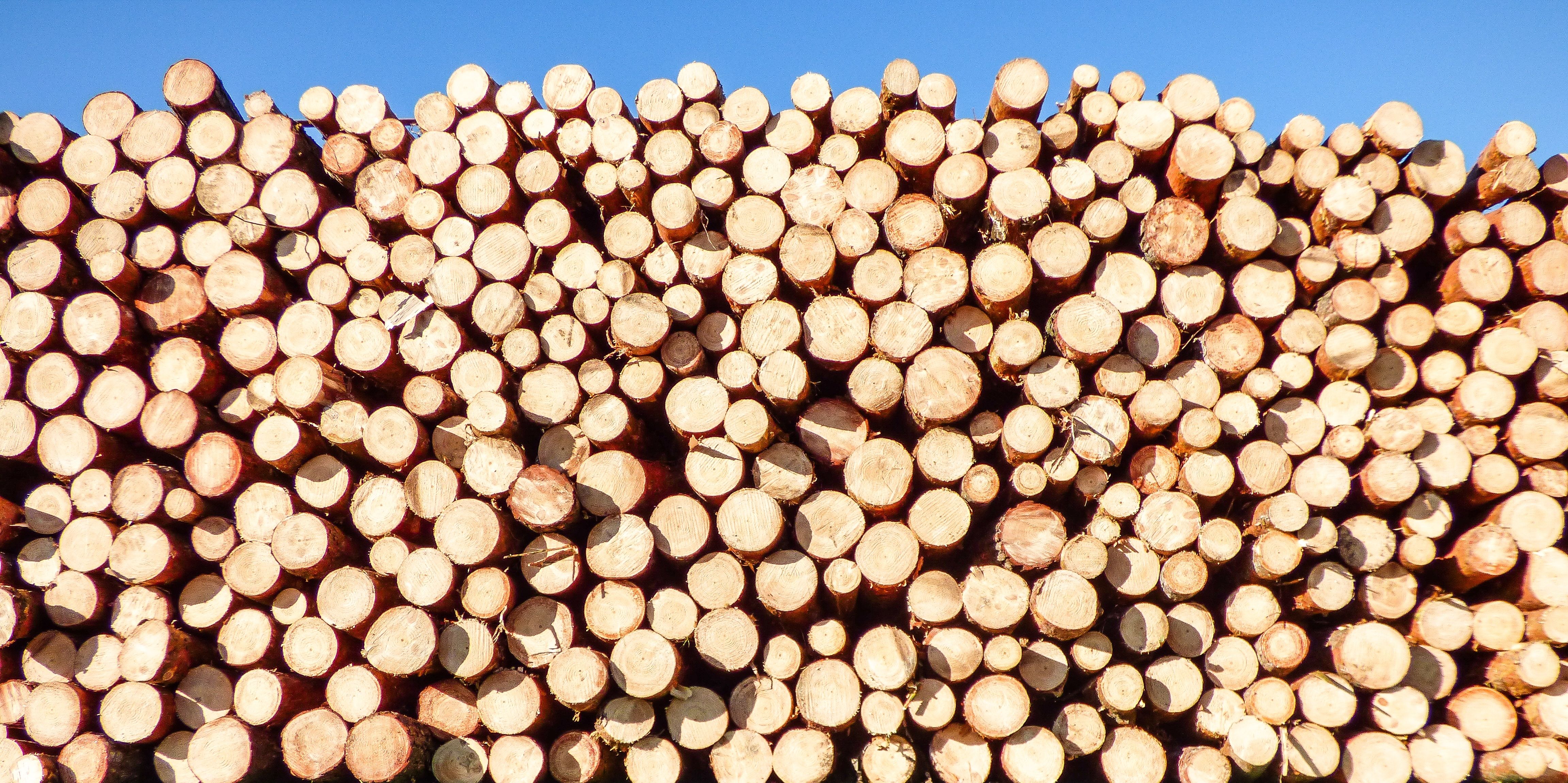 Neatly stacked pile of firewood logs outdoors