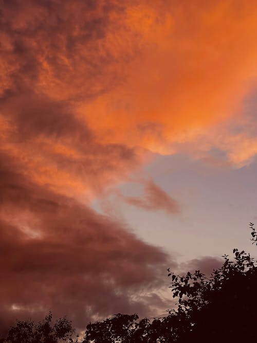 夕暮れの空, 夕焼け, 澄んだ青い空の無料の写真素材