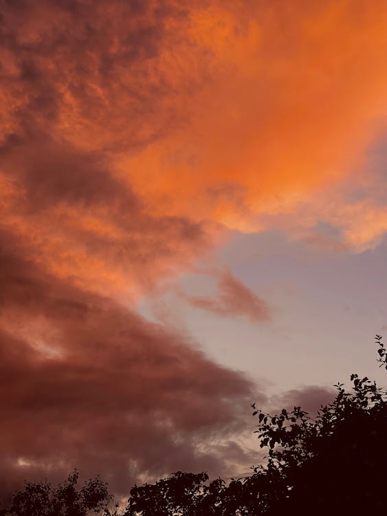 Foto profissional grátis de céu, céu azul claro, céu bonito