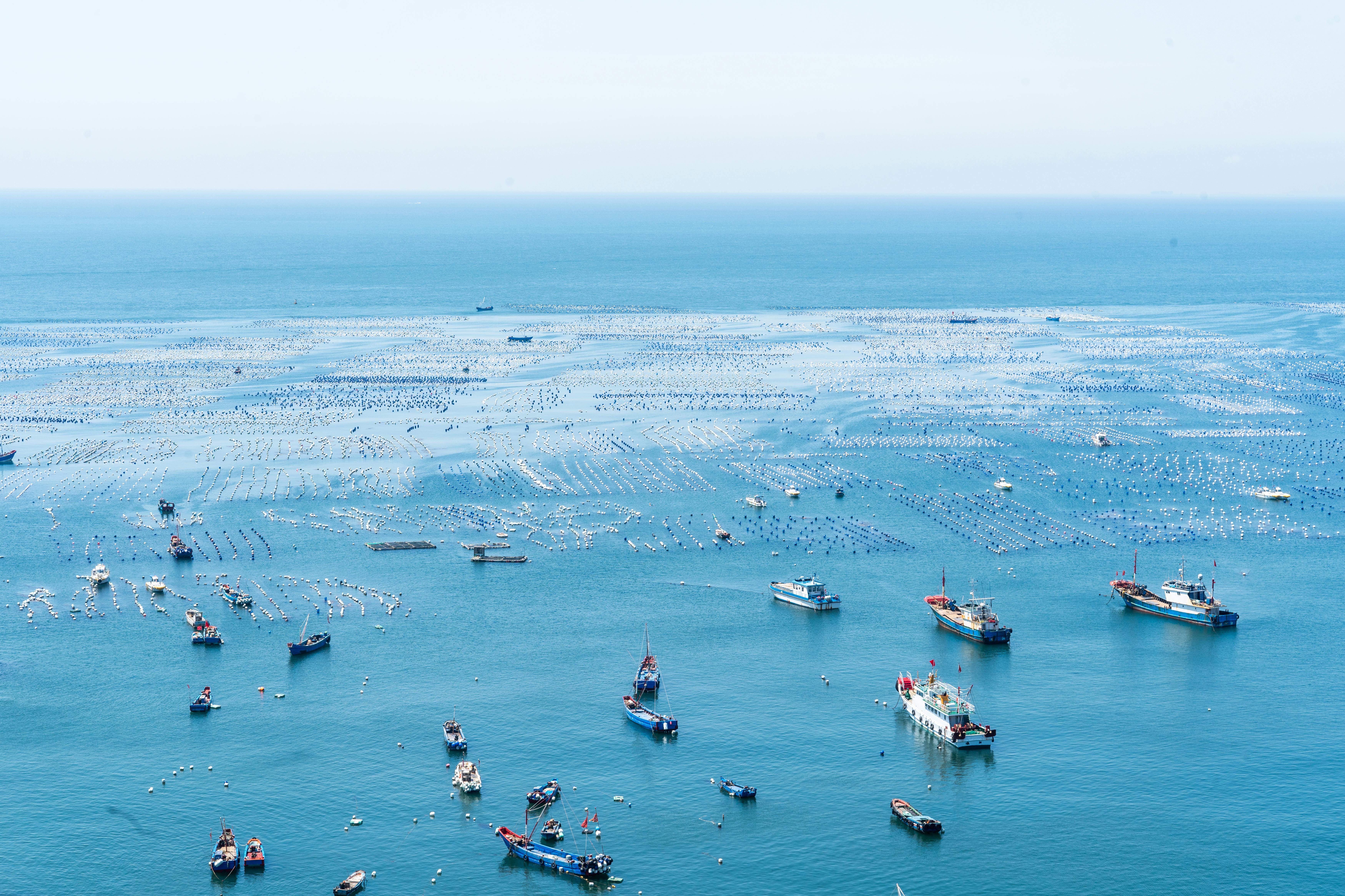 The Blue Economy: Shoring Up Opportunities for Island