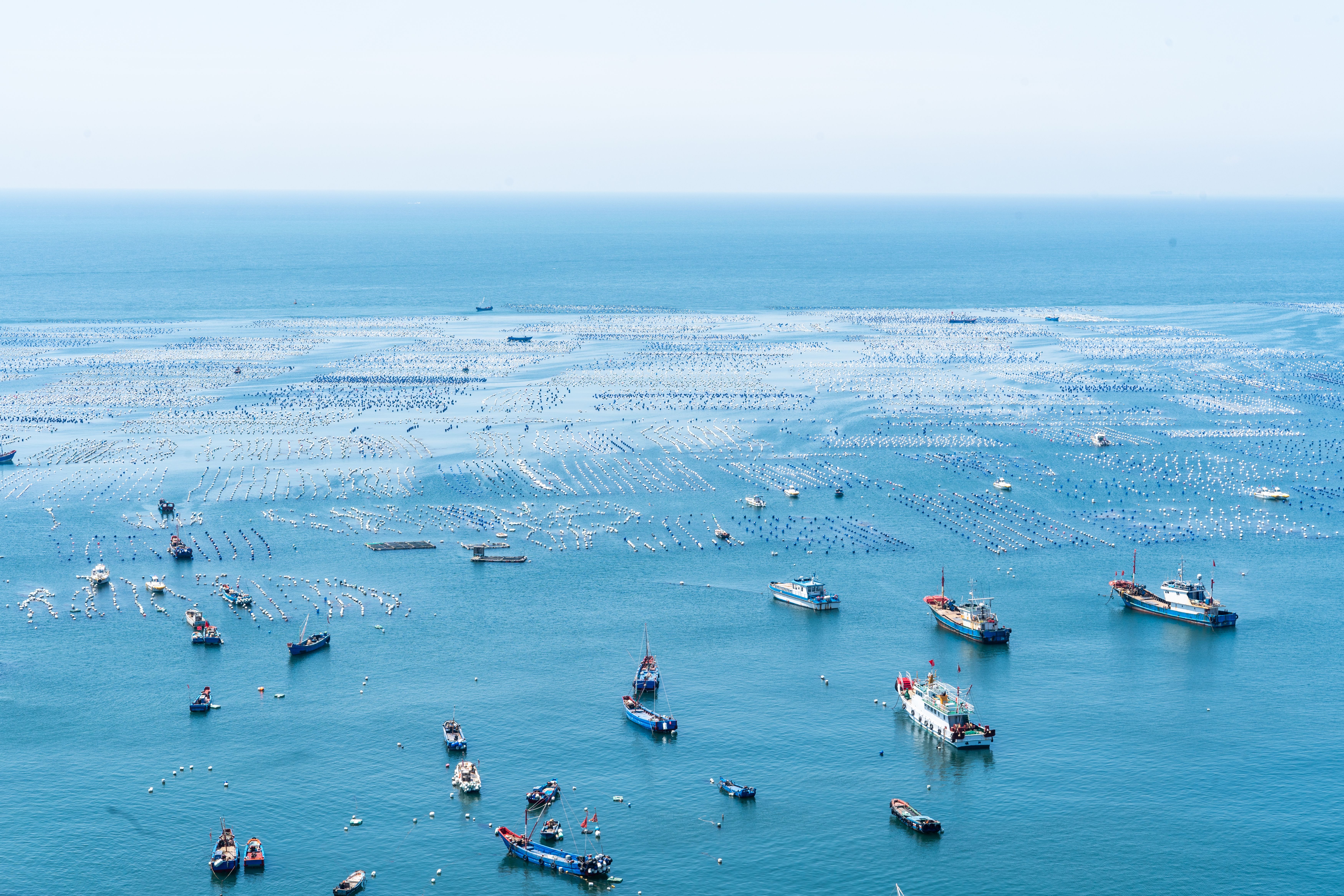 Boats, Fishing Boats and Trawlers on Sea Coast · Free Stock Photo