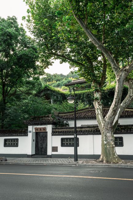 Discover a serene Asian urban street with traditional architecture and lush greenery.