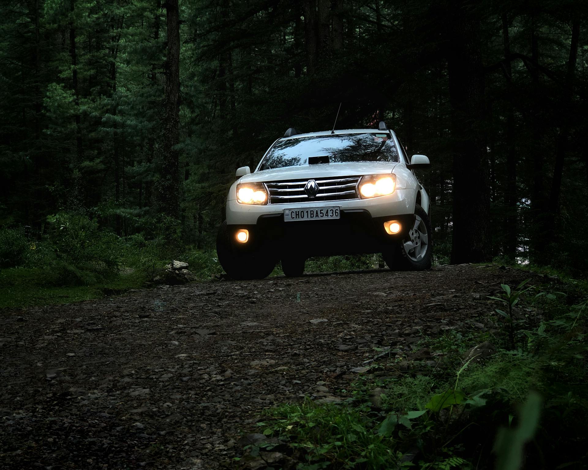 A car drives off-road through a dense forest, highlighting adventure and exploration.