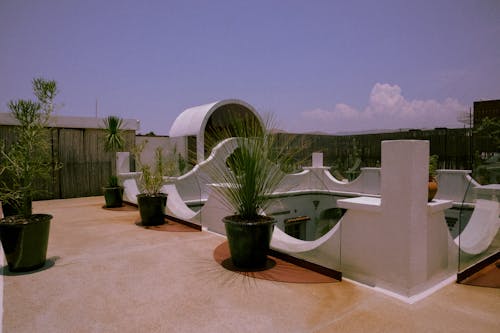 A rooftop with a white roof and potted plants