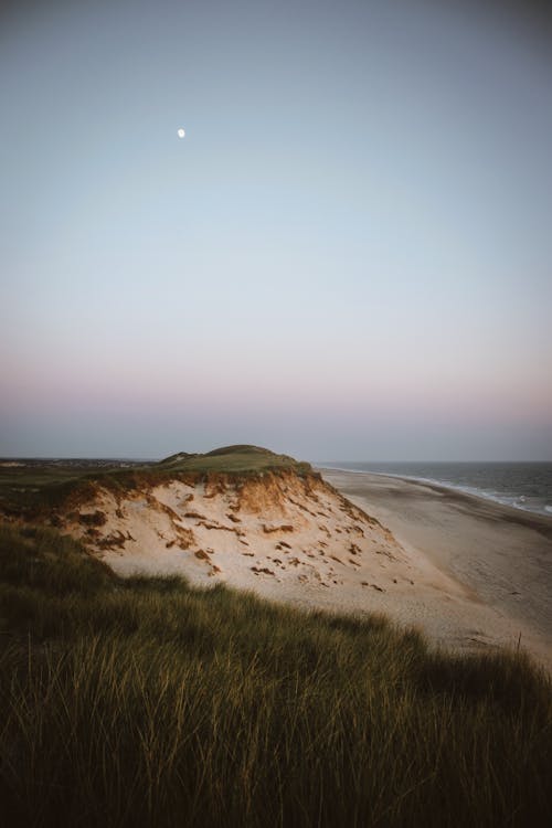シースケープ, デンマーク, ビーチの無料の写真素材