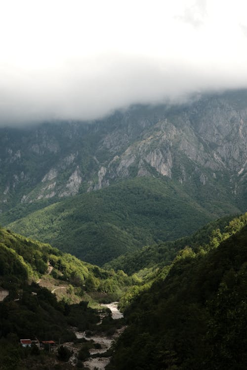 A view of a valley with mountains in the background