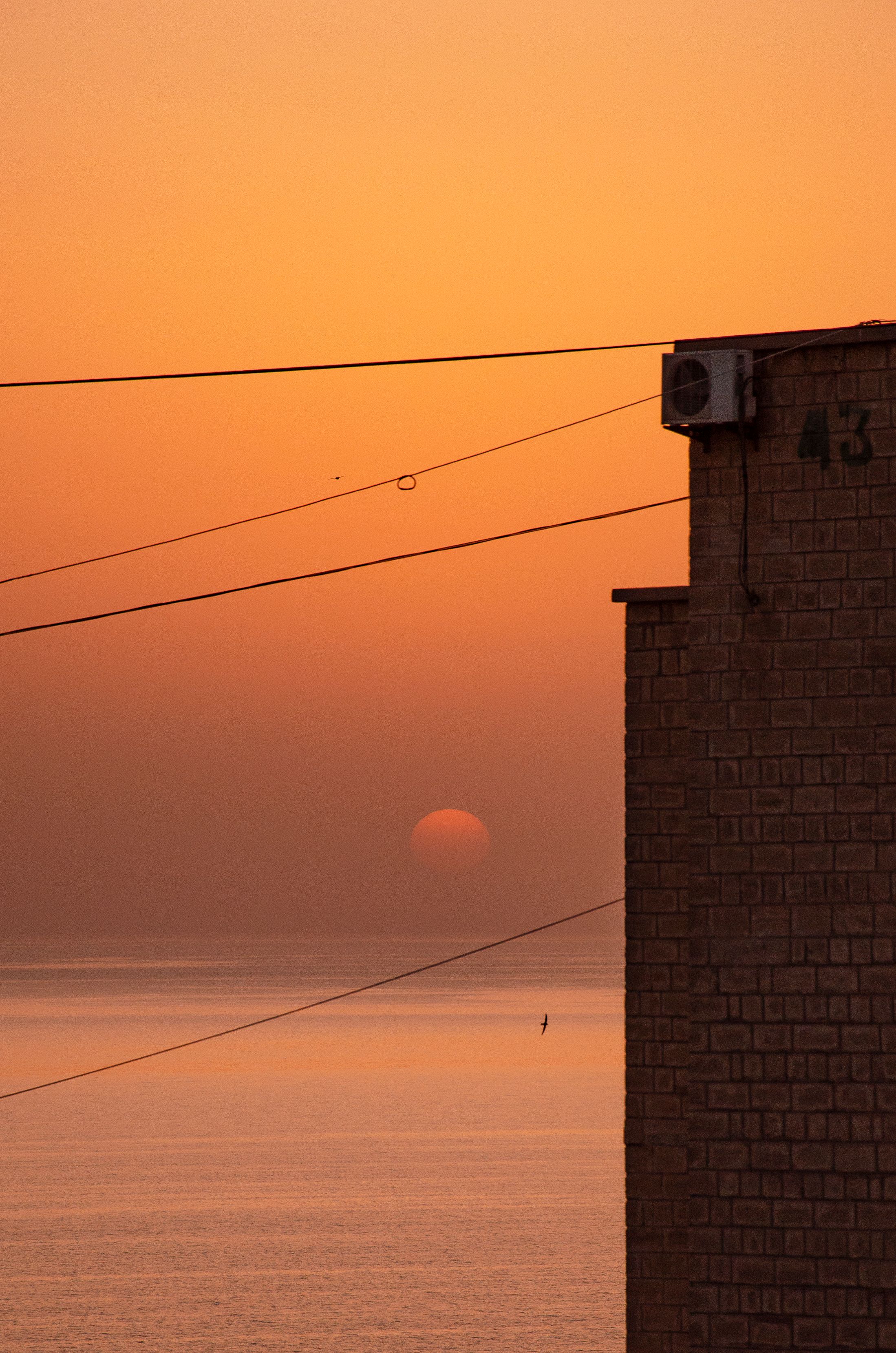 4700-photos-download-the-best-free-4700-stock-photos-hd-images