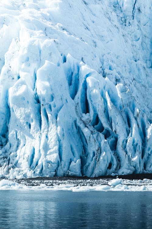 Безкоштовне стокове фото на тему «айсберг, берег, білий»