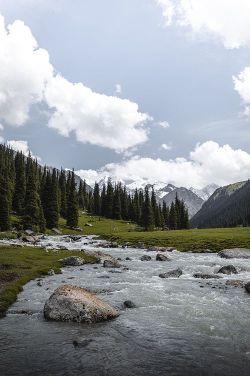 Free Serene scene of a mountain river surrounded by lush green forest and distant snow-capped peaks under a bright sky. Stock Photo