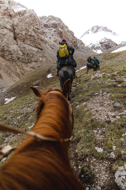 A group of people riding horses up a mountain