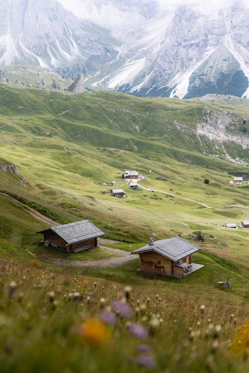 A small cabin in the middle of a grassy field