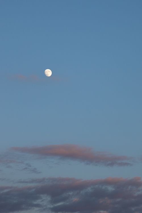 Free Serene view of the moon and clouds in the evening sky over Moscow, Russia. Stock Photo
