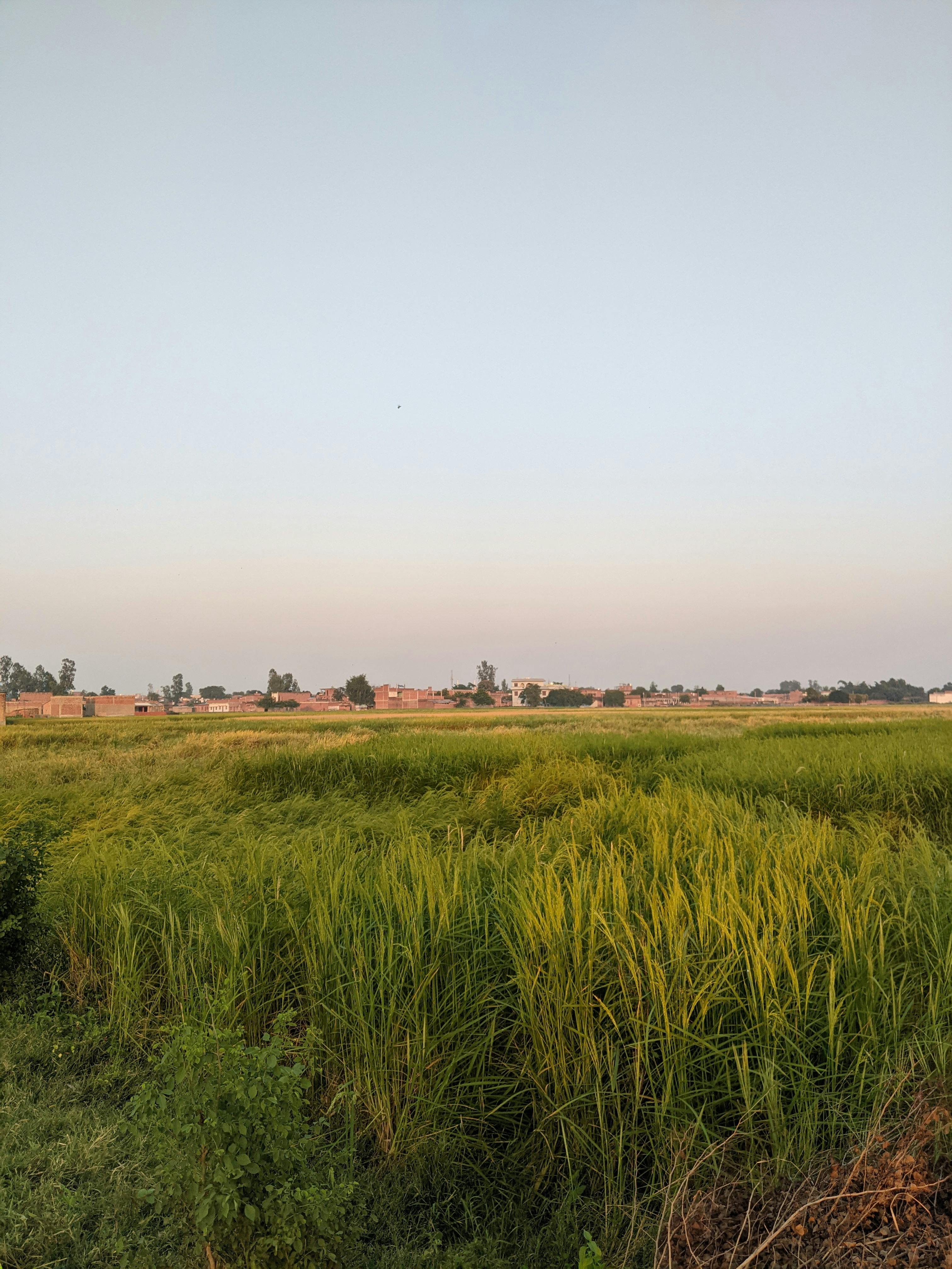 Harvest visit
