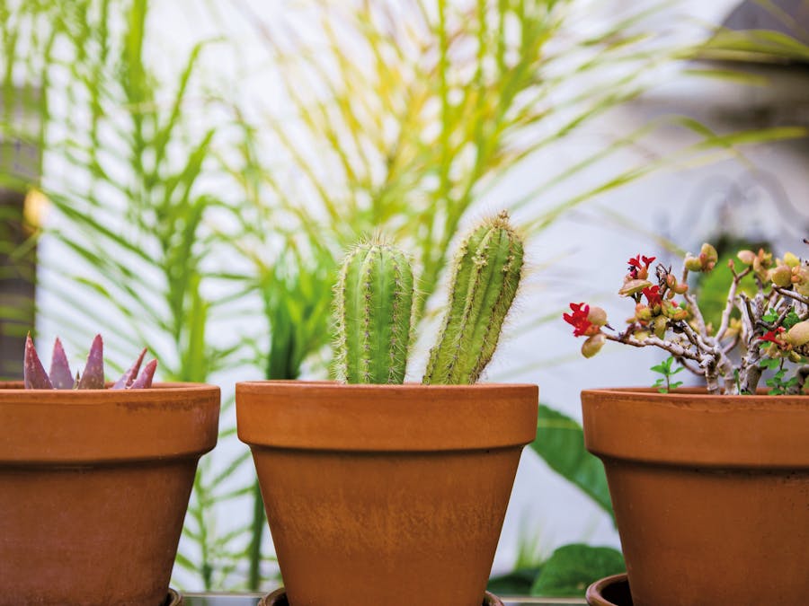 What are the three examples of tools?