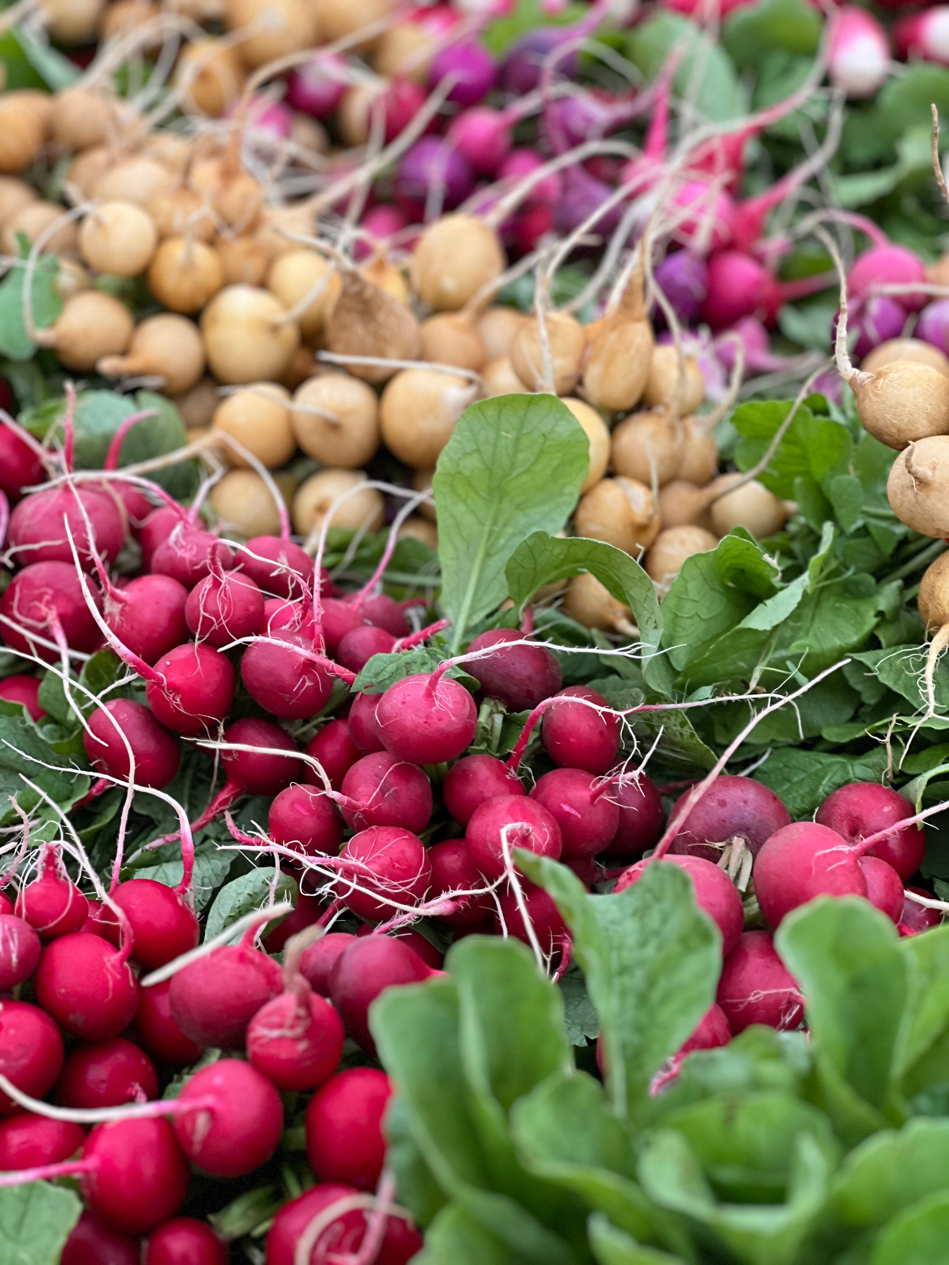 Photo gratuite de agriculture, alimentation saine, aliments, aliments ...