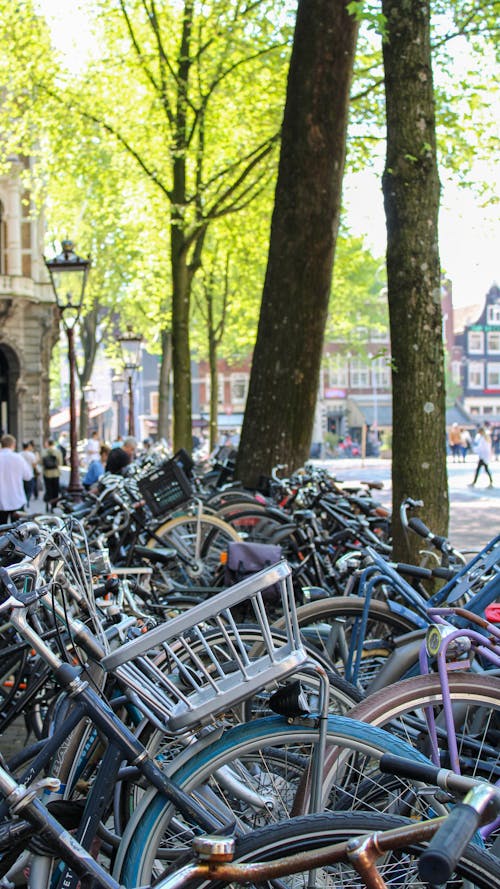 bike parking in Amsterdam