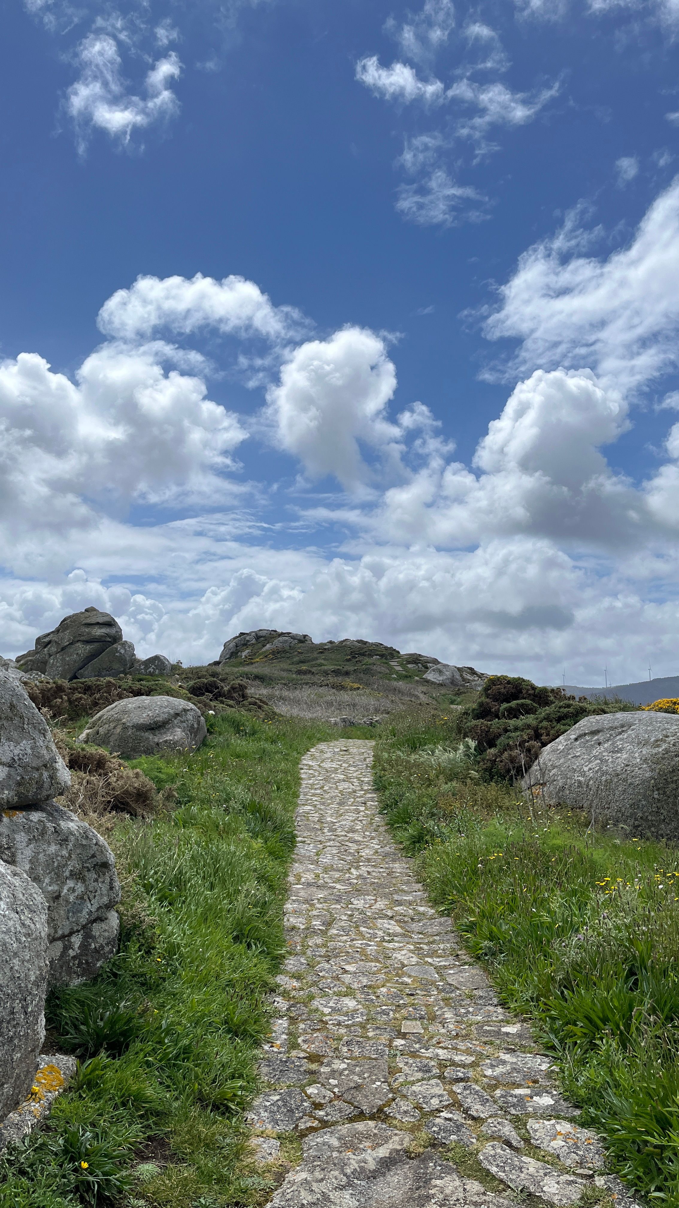 [ColoSach]-explore-a-tranquil-rocky-pathway-amidst-lush-greenery-under-a-vibrant-cloudy-sky.