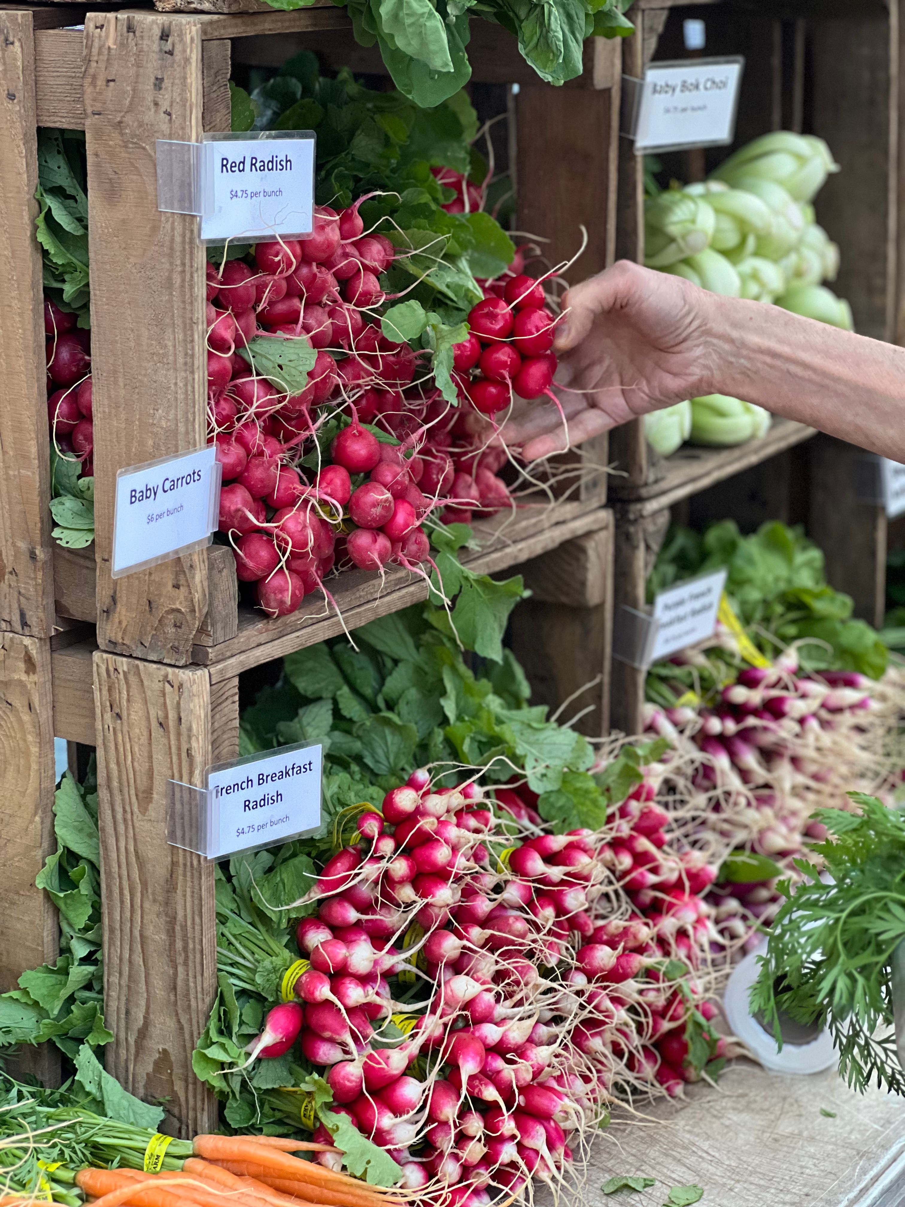 A vibrant display of fresh radishes and vegetables at a local farmer's market.. vibrant, display, fresh