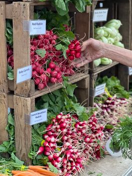 A vibrant display of fresh radishes and vegetables at a local farmer's market.. vibrant, display, fresh