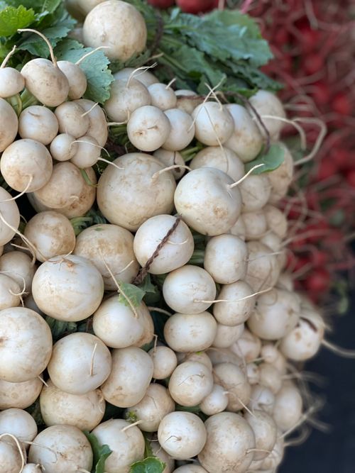 Free Close-up of a bunch of freshly harvested turnips with vibrant greens, ideal for culinary use. Stock Photo