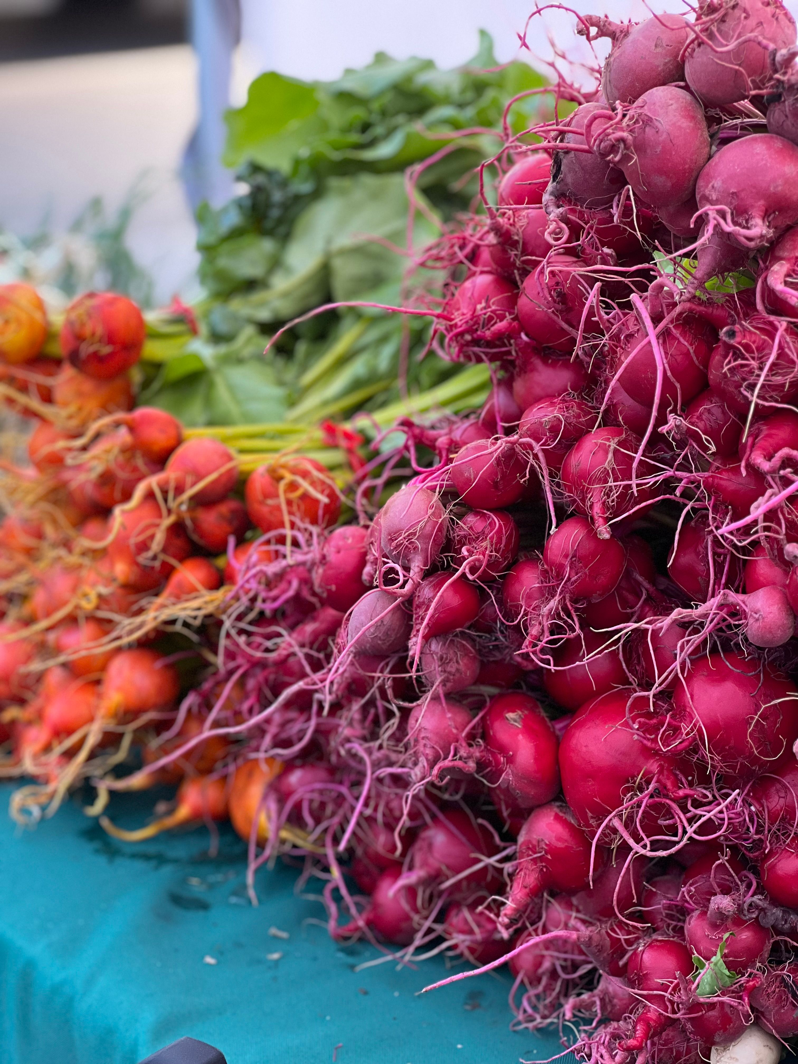 Selective Focus of Radish at Bazaar · Free Stock Photo