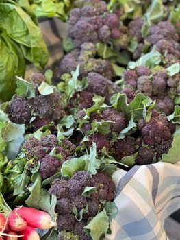 Broccoli Raab