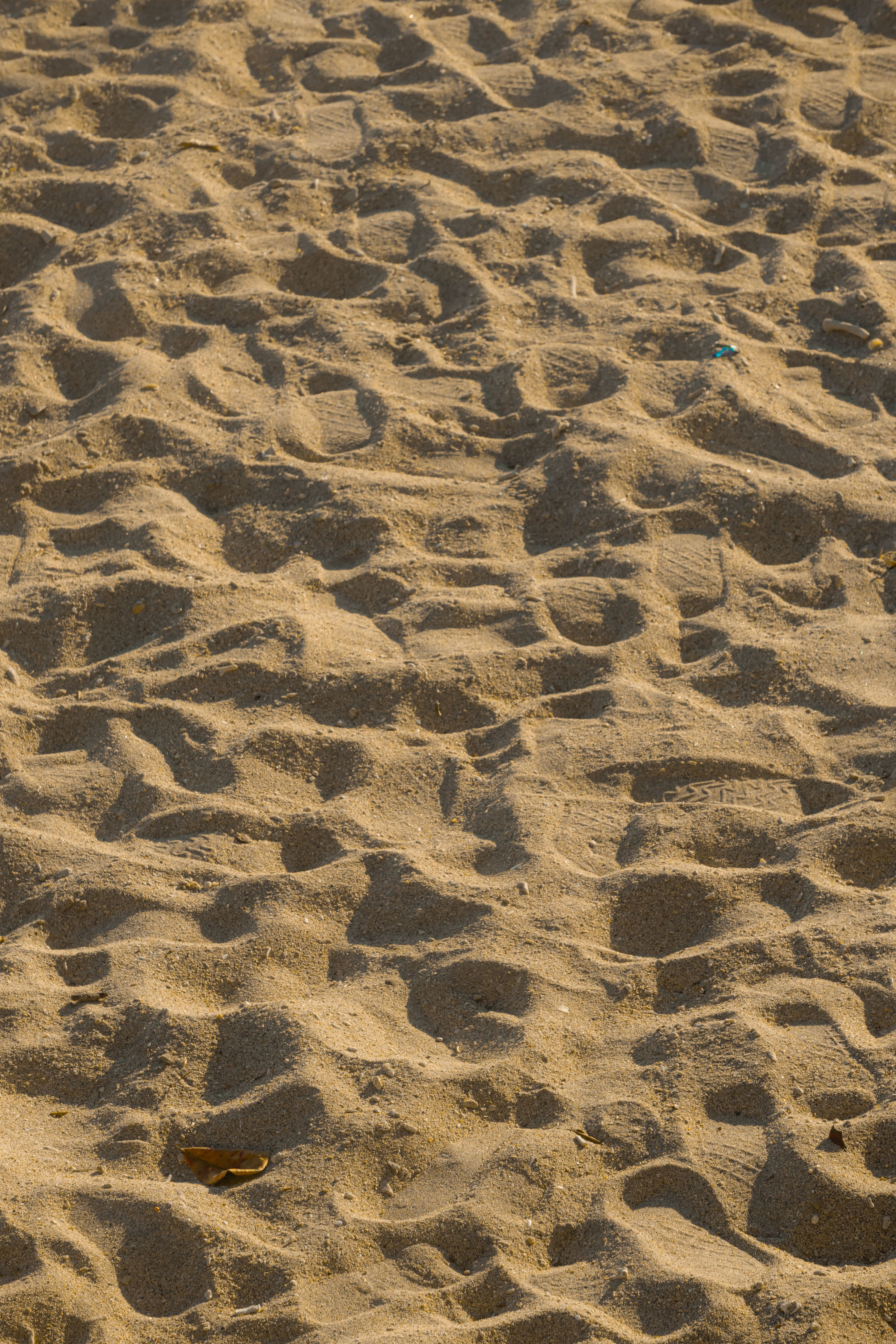 Photo gratuite de @extérieur, arrière plan, bord de mer, brun, côte ...