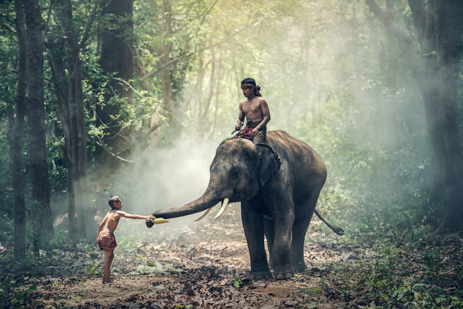 View of Elephant Riding Horse