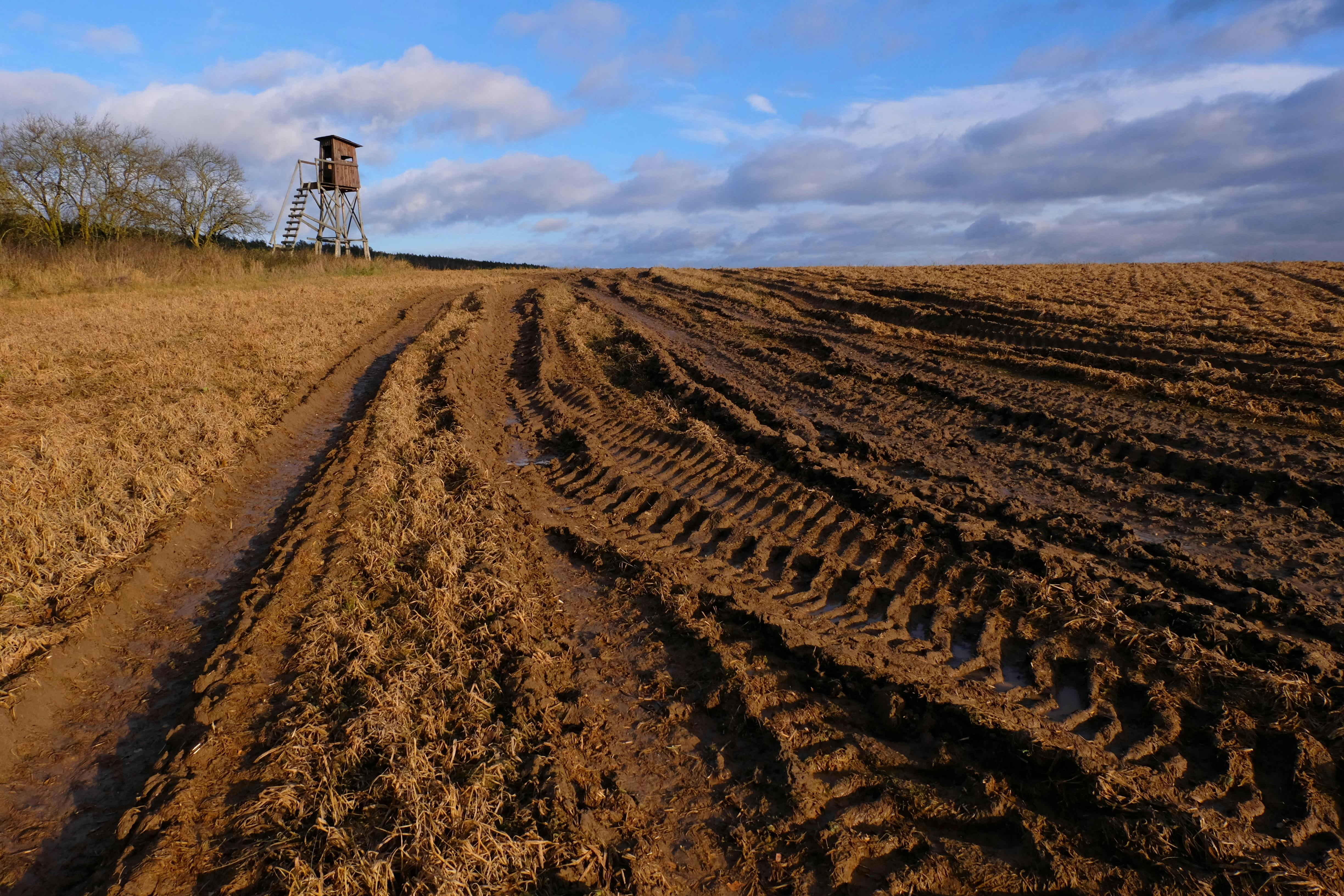 All-Canada Show promotes hunting, fishing and outdoor adventure — Photo by Roman Biernacki on Pexels