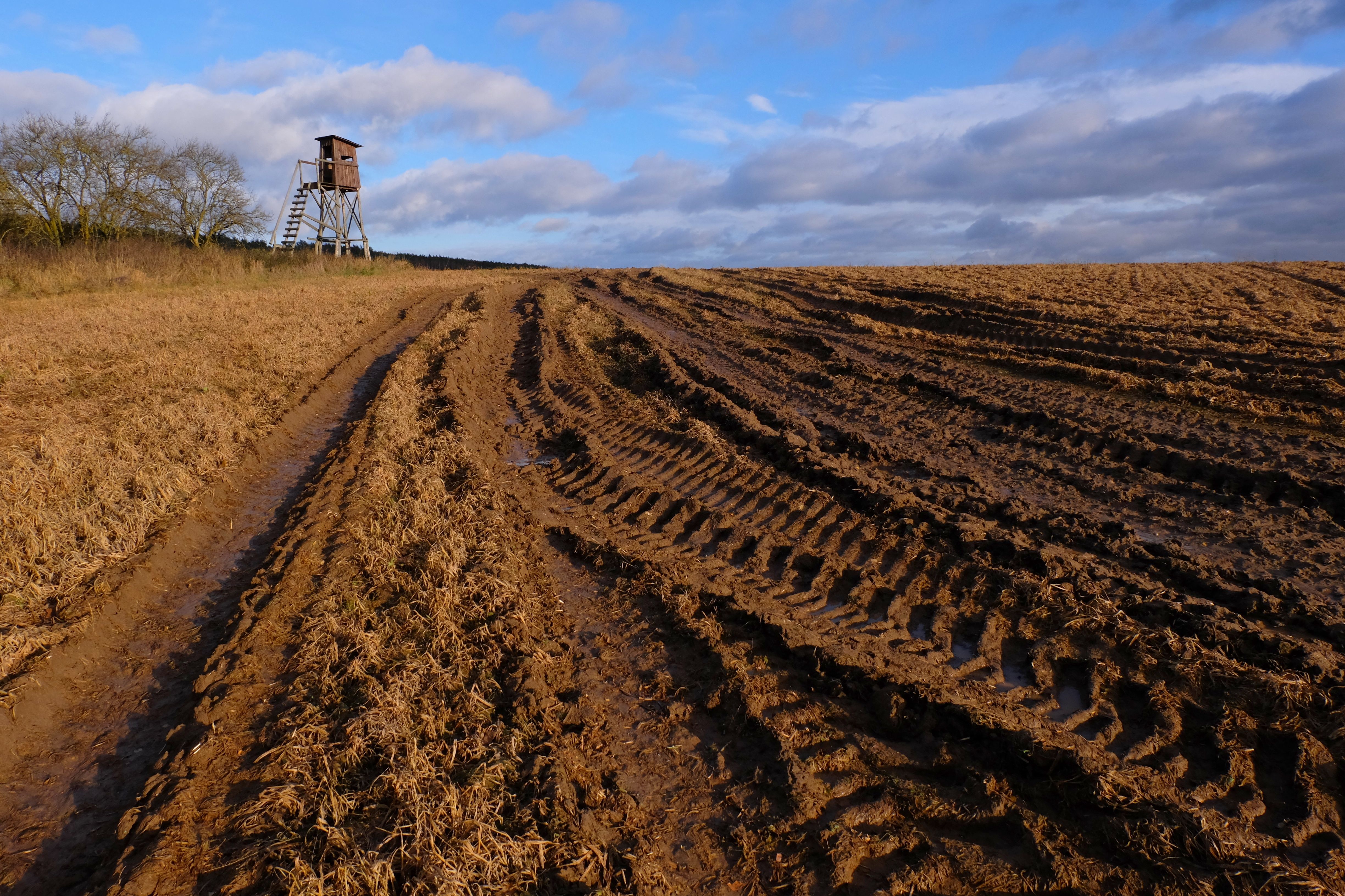 Data Mud Photos, Download The BEST Free Data Mud Stock Photos & HD Images