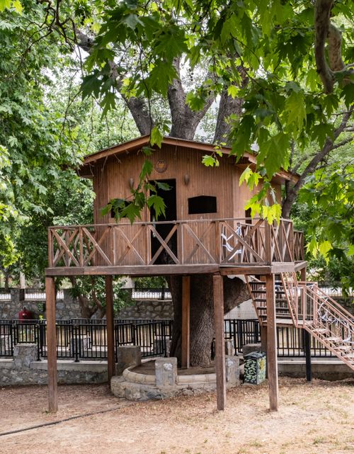 Free Explore this rustic treehouse nestled in İzmir, Türkiye, offering a serene escape amidst lush greenery. Stock Photo
