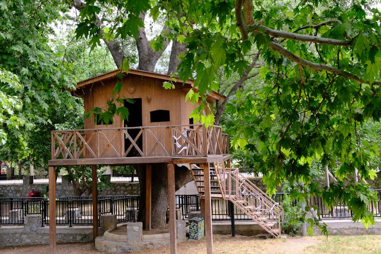 Wooden Treehouse In Summer