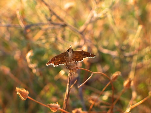 Gratis stockfoto met aan boord, antenne, aviate