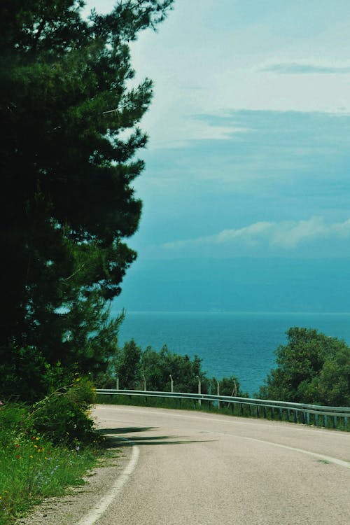 A road with a view of the ocean and trees