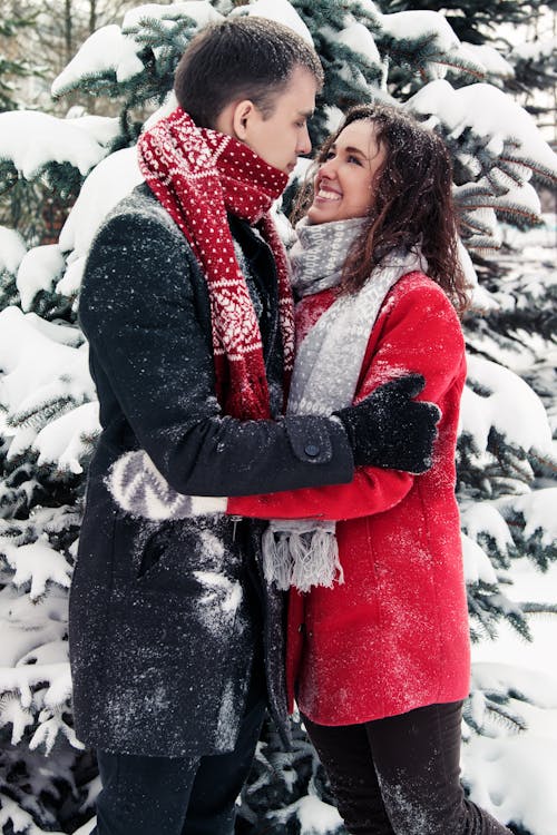 Comprimento Total De Amigos Felizes Na Neve No Campo